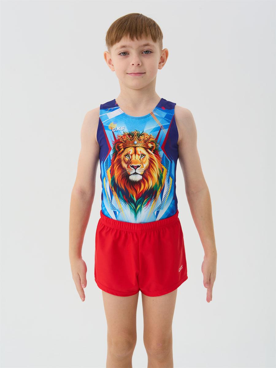 Мужской купальник для спортивной гимнастики GK Sport 201-79