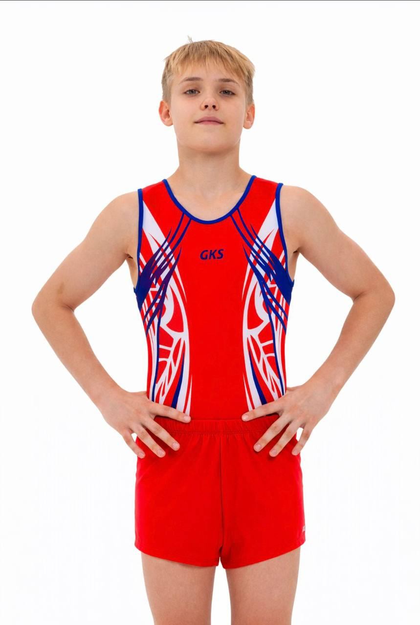 Купальник мужской для спортивной гимнастики GK Sport 202-23 красный с бело-синим рисунком без рукава