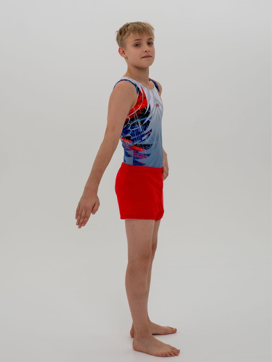 Купальник мужской для спортивной гимнастики GK Sport 201-66