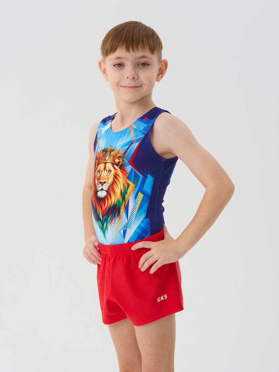 Мужской купальник для спортивной гимнастики GK Sport 201-79